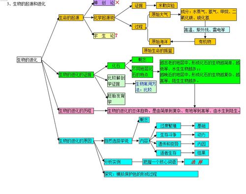 基礎(chǔ)知識(shí),思維,初中生物