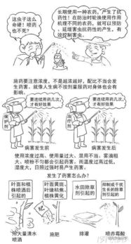 農(nóng)藥基礎(chǔ)知識培訓(xùn),農(nóng)藥基礎(chǔ)知識試題,農(nóng)藥基礎(chǔ)知識及概念