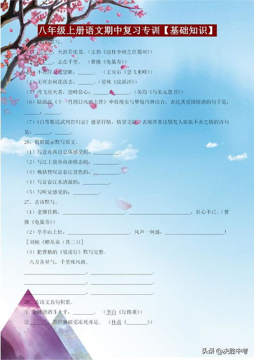 八級拼音基礎(chǔ)知識