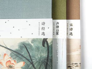 2018最美長安詩詞基礎(chǔ)知識