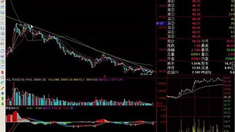 理論知識(shí),入門(mén),基礎(chǔ),股票