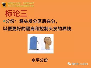 剪發(fā),基礎(chǔ)知識,原理