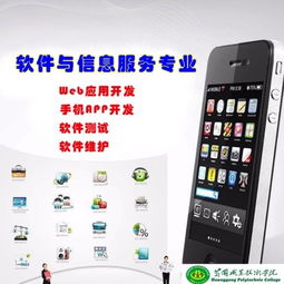 軟件與信息服務專業(yè)基礎知識